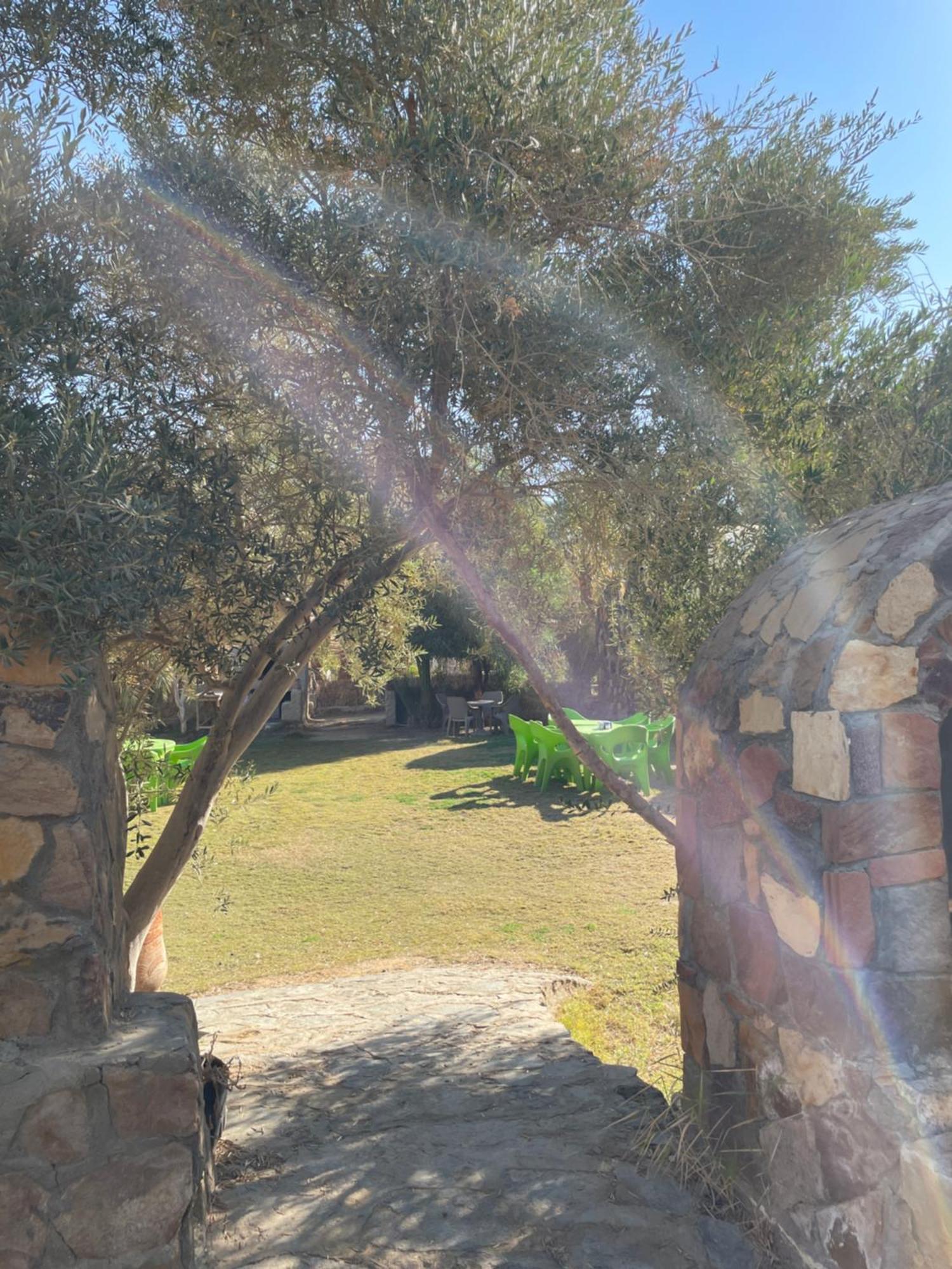 Ahmed Safari Camp Hotel Bawati Buitenkant foto